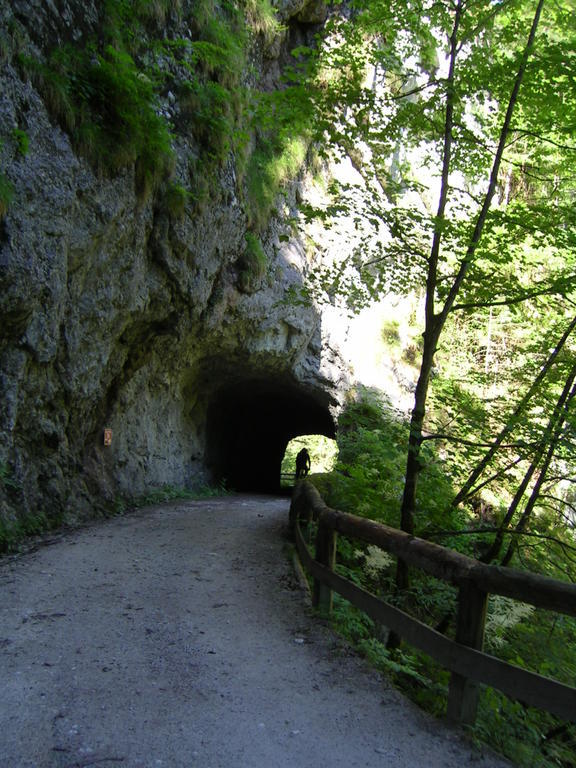 Gasthof Hensle Sankt Gallen Exterior foto